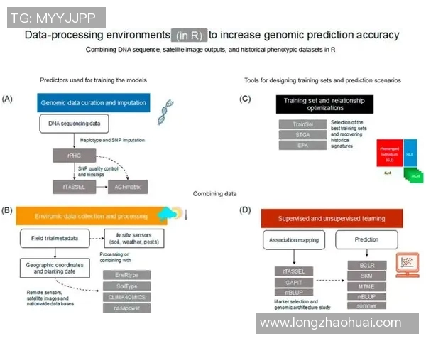 基于大数据与机器学习的体育胜负预测模型更新与优化研究