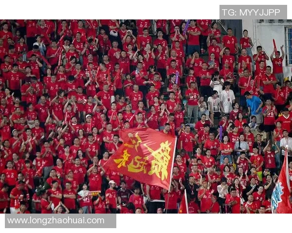 球迷看台深情告白成功全场掌声雷动见证浪漫瞬间