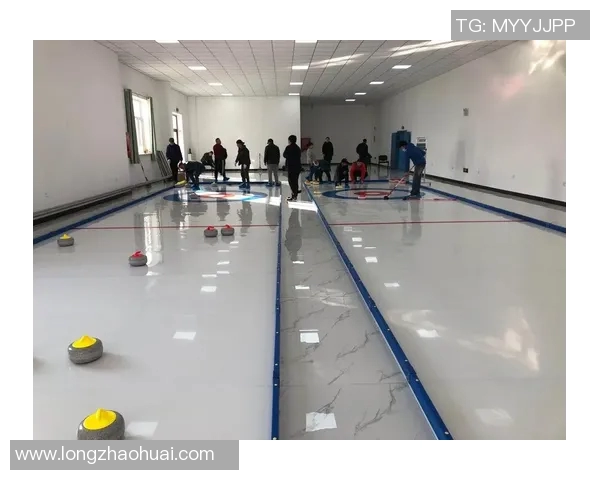 冬奥会冰壶项目中冰道控制技术与战术协同应用研究