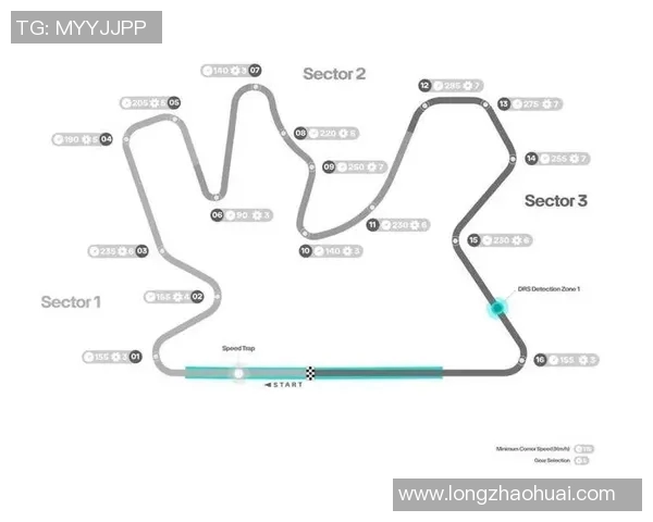 F1赛季车队策略调整及赛道适应性分析 F1赛季车队策略调整及赛道适应性分析